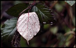 C04A7094 R