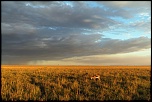 Pb upload photos-paysage-au-crepuscule.jpg