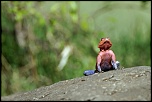 Pb upload photos-agame.jpg