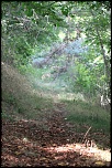 paysages