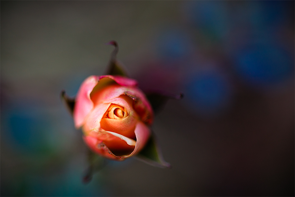 quel soft pour le panoramique?-test_zeiss.jpg