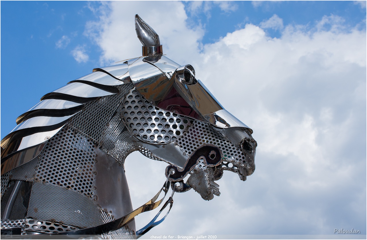 la qualite d&#39;image-cheval-de-fer.jpg