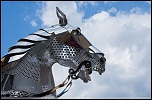 la qualite d&#39;image-cheval-de-fer.jpg