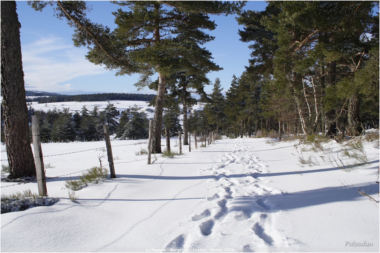 la qualite d&#39;image-neige-et-soleil.jpg