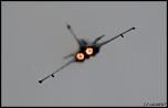 Galerie de eos-300d-album-img_3489b.jpg