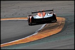 Best of Motorsport 41