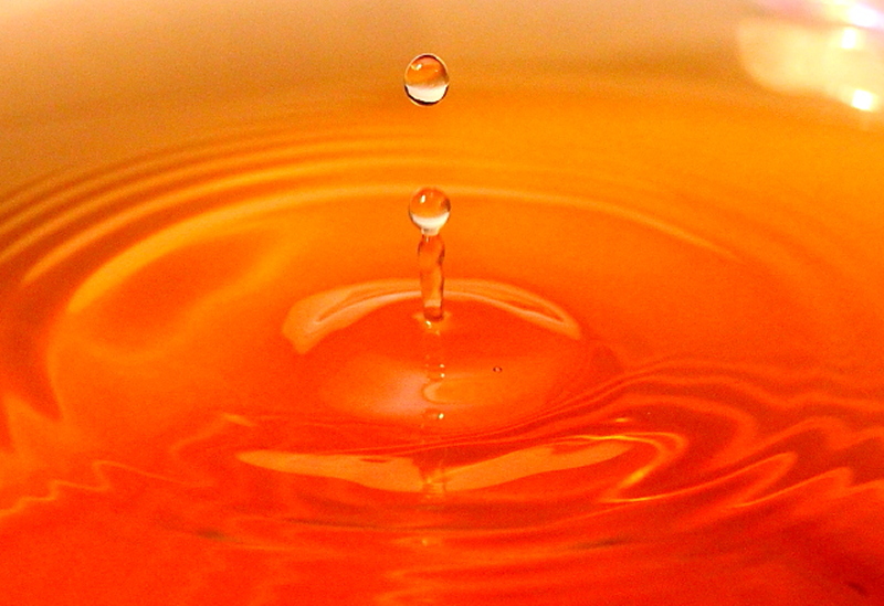 Si on pouvait m&#39;expliquer.-dpp_356008386.jpg