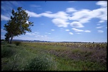 -img_3034.jpg