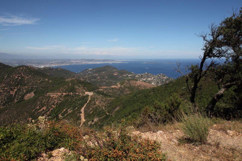 -img_2189.jpg