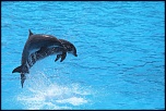 -img_1891.jpg