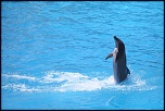 -img_1890.jpg