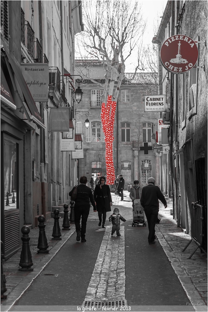 la qualite d&#39;image-la-girafe.jpg