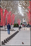 la qualite d&#39;image-petits-pois.jpg