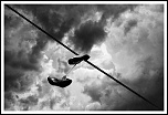 Quel sac de transport?-chaussures-suspendues.jpg