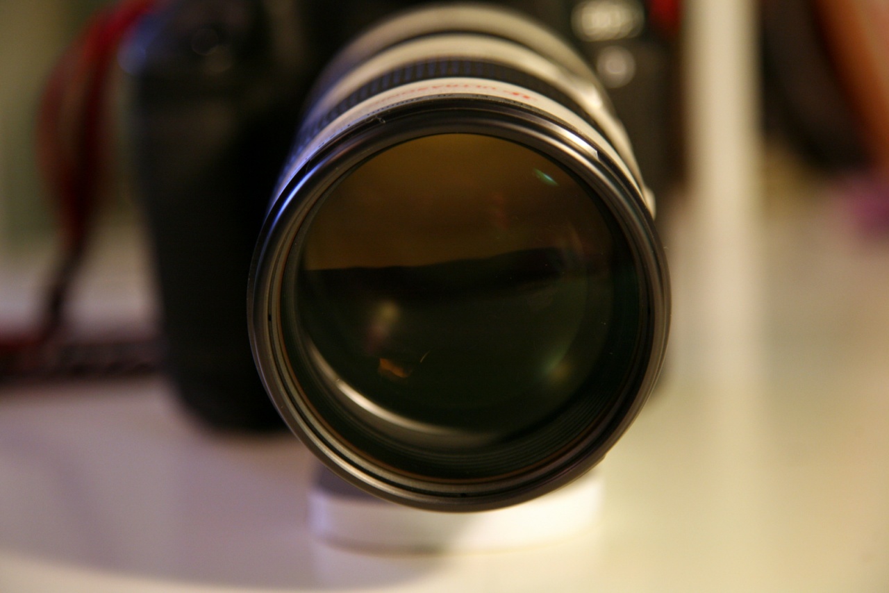 Photos prises avec le nouveau Tamron 90 Macro Di-img_7715.jpg