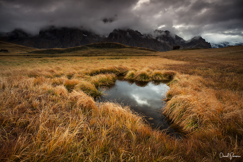Autumn dream