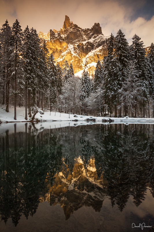 Winter paradise