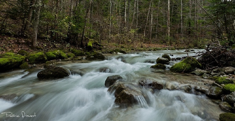 firmware-riviere-du-vercors.jpg