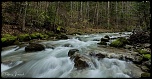 firmware-riviere-du-vercors.jpg