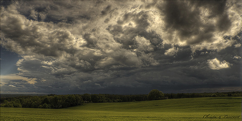 une tite nouvelle-ligne-de-grain-debut-mai-2012.jpg