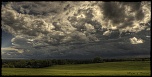 une tite nouvelle-ligne-de-grain-debut-mai-2012.jpg
