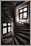 Cours....-4971.jpg