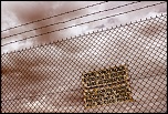 Photos prises avec le nouveau Tamron 90 Macro Di-area-1024.jpg
