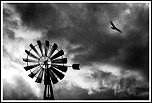 Quel sac de transport?-waiting-wind-1.jpg