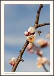 la qualite d&#39;image-printemps.jpg