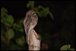 La garantie-ibijau-09943607.jpg