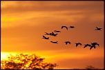 La garantie-couchersoleil_ve094602.jpg