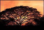 La garantie-couchersoleil_img_0144.jpg