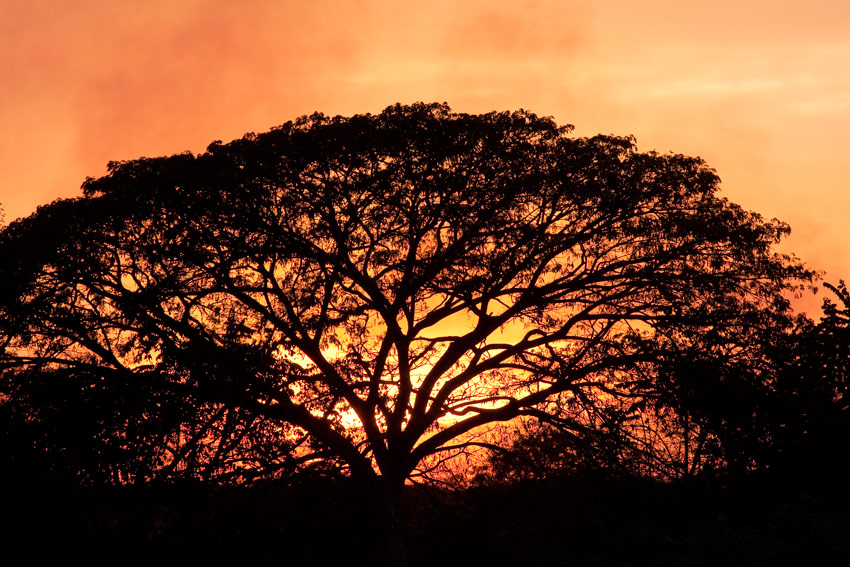 La garantie-couchersoleil_img_0144.jpg