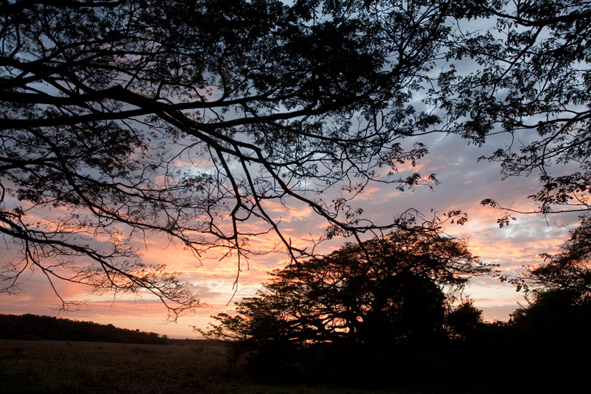La garantie-couchersoleil_img_9938.jpg