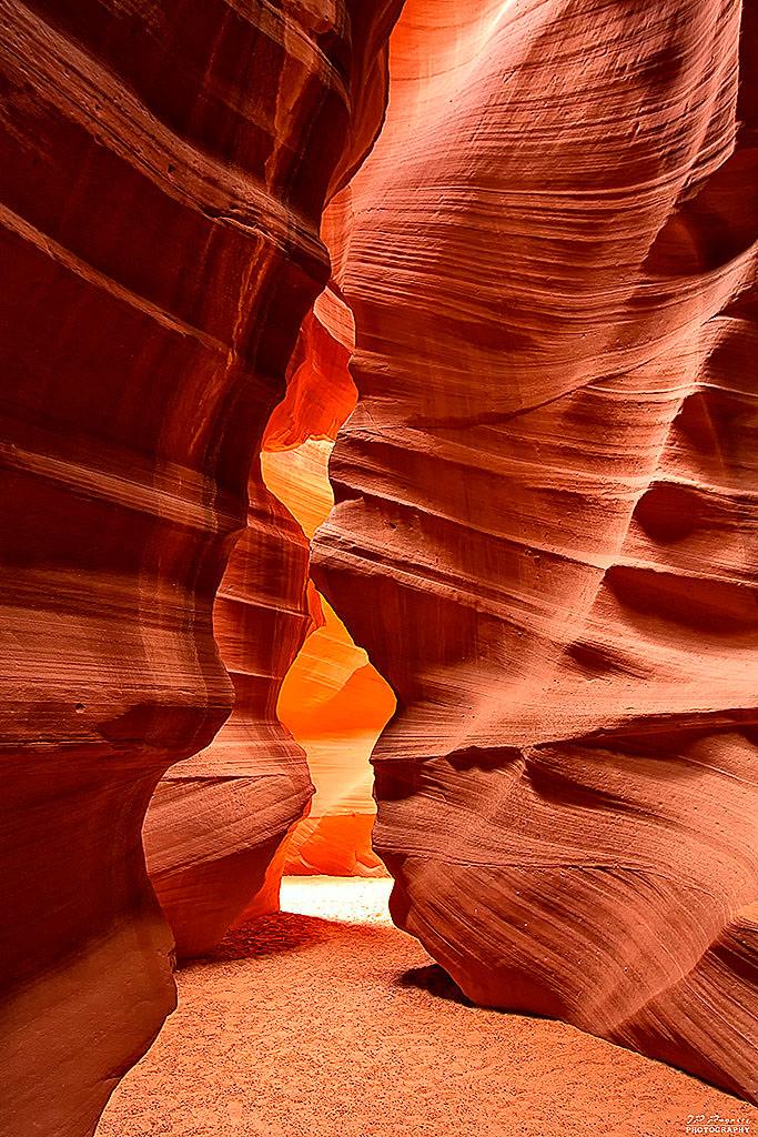 La garantie-antelope5.jpg