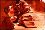 La garantie-antelope4.jpg