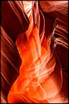 La garantie-antelope2.jpg