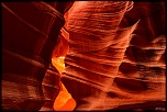 La garantie-antelope8.jpg