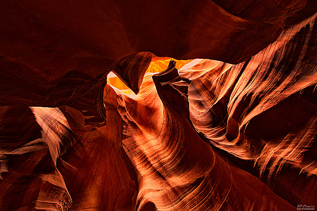 La garantie-antelope9.jpg