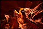 La garantie-antelope9.jpg
