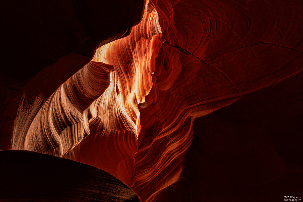 La garantie-antelope12.jpg