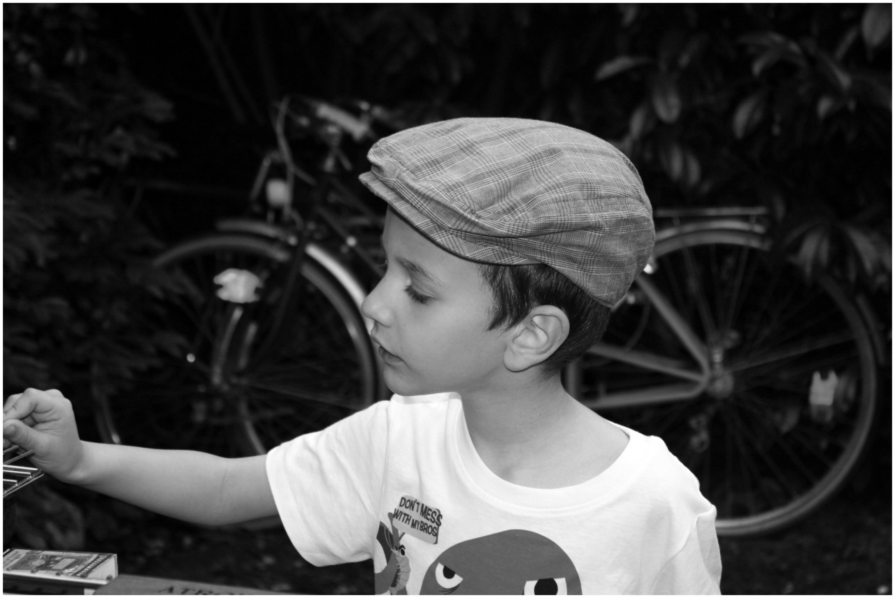 remi.juin.2012