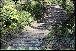 -img_0220.jpg