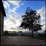 -img_0345.jpg