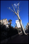 -img_0301.jpg