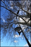 -img_0339.jpg