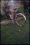 -img_0271.jpg