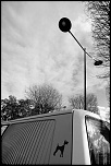 -img_0254.jpg
