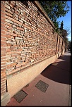 -img_0278.jpg