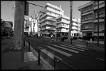 -img_0319.jpg